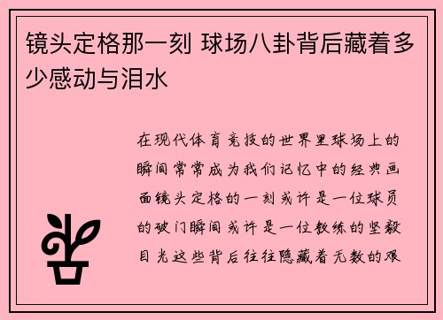 镜头定格那一刻 球场八卦背后藏着多少感动与泪水