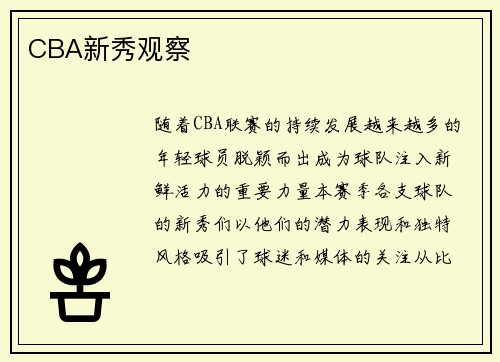 CBA新秀观察